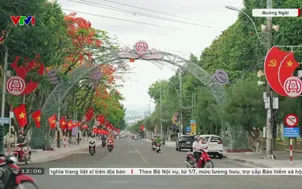 Quảng Ngãi bắt đầu khai quật, tìm kiếm mộ liệt sĩ tập thể