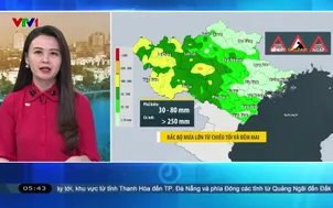 Bản tin thời tiết 5h30 - 07/6/2026