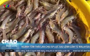 Ngành tôm Thái Lan chịu áp lực sau lệnh cấm từ Malaysia 