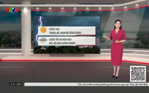 Bản tin thời tiết 12h30 - 08/6/2026