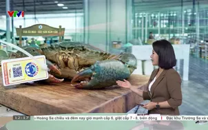 Gắn mã QR để giữ giá trị cua Cà Mau