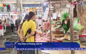 Lần đầu đưa thịt lợn tích xanh vào chợ truyền thống