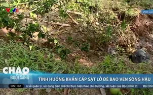 Tình huống khẩn cấp sạt lở đê bao ven sông Hậu