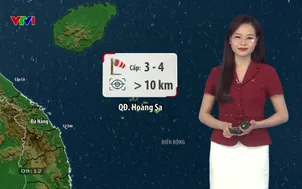 Bản tin thời tiết 9h10 - 12/6/2026