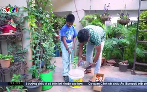 Giáo dục về môi trường thông qua trải nghiệm thực tế
