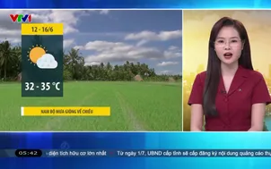 Bản tin thời tiết 5h30 - 12/6/2026