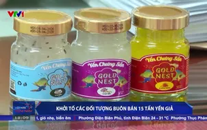 Khởi đố các đối tượng buôn bán 15 tấn yến giả