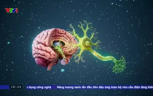 Mặt trái của sự bùng nổ video ngắn