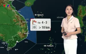Bản tin thời tiết 9h10 - 15/6/2026