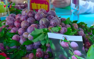 Bạn của nhà nông (2026) - Số 26