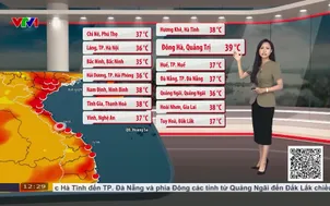 Bản tin Thời tiết 12h30 - 19/5/2026