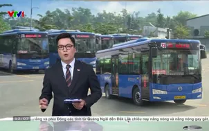 TP. Hồ Chí Minh: Xem xét miễn phí 135 tuyến xe buýt 
