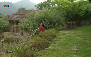 Về quê: Làm giàu từ bản