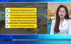 Bản tin thời tiết 5h30 - 21/6/2026
