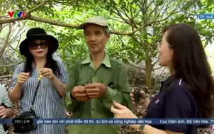 Ngày mới ở vườn dâu tiên