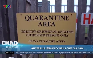 Australia ứng phó virus cúm gia cầm