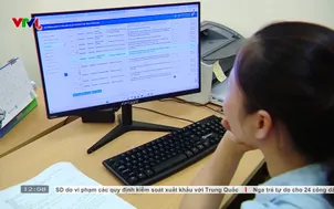 Nhân lực số ở cấp xã vừa thiếu vừa quá tải