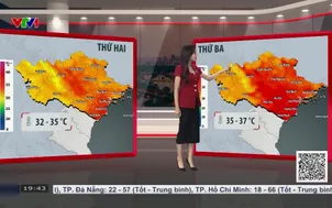 Bản tin thời tiết 19h45 - 22/6/2026
