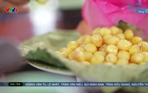 Ngày mới trên đất sen hồng