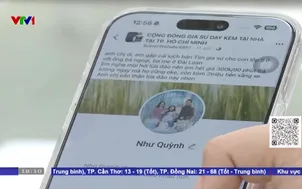 Cảnh giác bẫy lừa đảo thông qua tìm việc gia sư