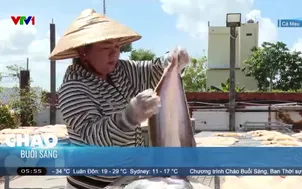 Sức sống ở làng cá khô Gành Hào