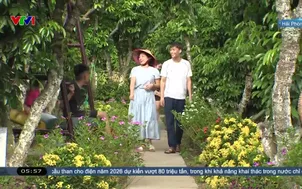 Trải nghiệm  khó quên tại vùng vải thiều Thanh Hà