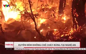 Xuyên đêm khống chế cháy rừng tại Nghệ An