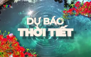 Bản tin thời tiết 9h10 - 23/6/2026
