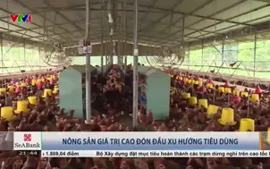 Nông sản giá trị cao đón đầu xu hướng tiêu dùng