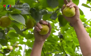 Bạn của nhà nông (2026) - Số 27