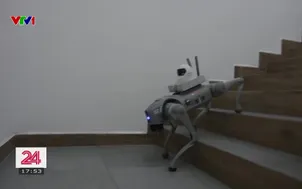 Chó robot tuần tra World Cup