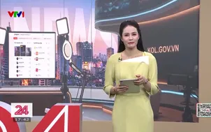 Cổng thông tin minh bạch của các nhà sáng tạo nội dung số