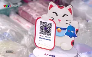 Công dân số: Điểm tựa an sinh