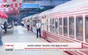 Khởi hành "đoàn tàu bạch mai"