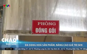 Đa dạng hóa sản phẩm, nâng cao giá trị sen