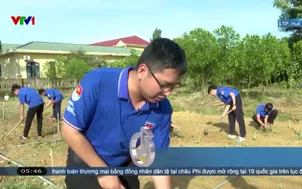 Công trình xanh từ màu áo thanh niên