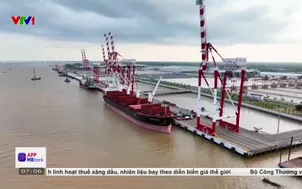 Đề xuất miễn tiền thuê đất, hỗ trợ tín dụng cho cảng xanh