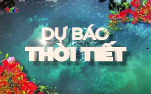 Bản tin thời tiết 12h30 - 01/7/2026