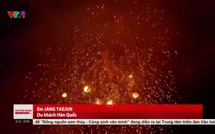 Pháo hoa chào mừng 50 năm Thành phố mang tên Bác
