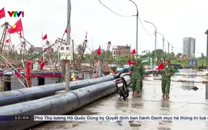 Các địa phương ven biển ứng phó bão số 1