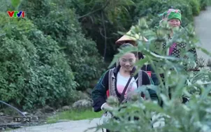 Về quê: Liên kết bền vững nơi vùng cao