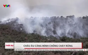 Châu Âu căng mình chống cháy rừng