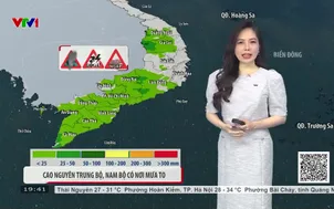 Bản tin thời tiết 19h45 - 07/7/2026