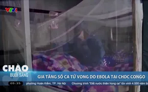 Gia tăng số ca tử vong do Ebola tại CHDC Congo