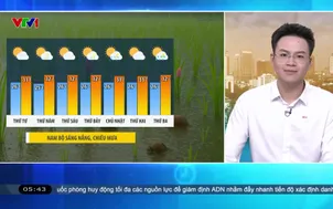 Bản tin thời tiết 5h30 - 08/7/2026