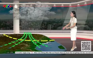 Bản tin thời tiết 12h30 - 11/7/2026