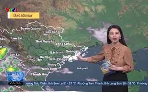 Bản tin thời tiết 6h15 - 11/7/2026