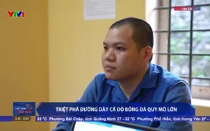 Triệt phá đường dây cá độ bóng đá quy mô lớn
