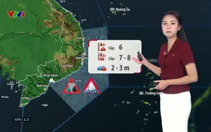 Bản tin thời tiết 9h10 - 13/7/2026