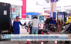 Lưu mẫu xăng E10 ở từng khâu cung ứng